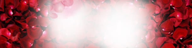 白色云雾红色玫瑰花瓣jpg设计背景_88icon https://88icon.com 云雾 玫瑰 白色 红色 花瓣