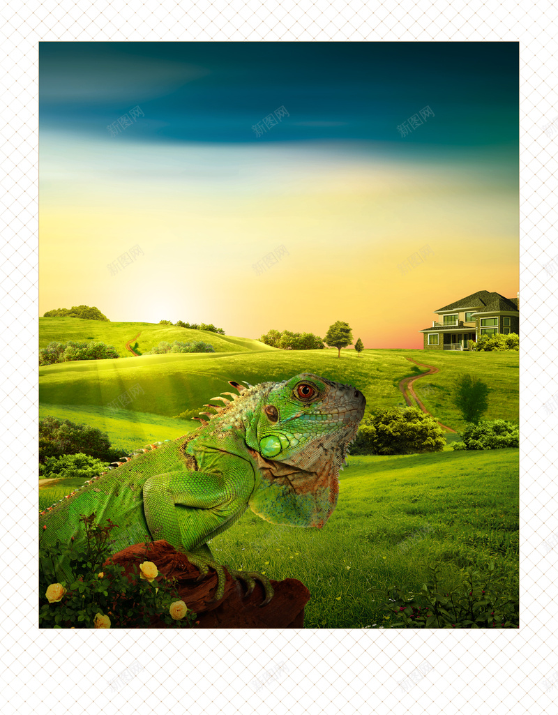 绿色宜居地产背景psd_88icon https://88icon.com 动物 天空 宜居 底纹 摄影 白色 纹理 绿色 花朵 草原 蜥蜴 风景