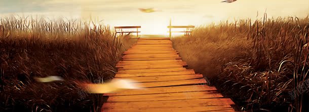 唯美卡通芦苇背景bannerjpg设计背景_88icon https://88icon.com banner 卡通 唯美 栅栏 背景 芦苇