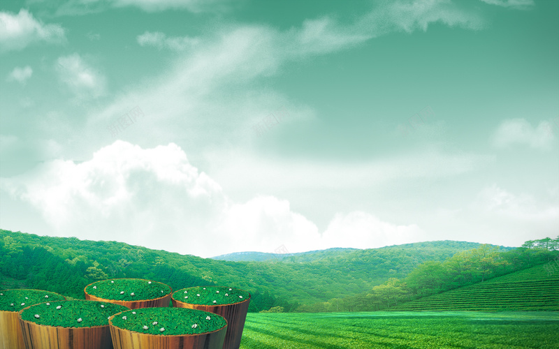淘宝茶叶广告背景psd设计背景_88icon https://88icon.com 广告设计模板 海报 海报设计 白色 背景 茶叶 茶叶海报 茶园 茶山