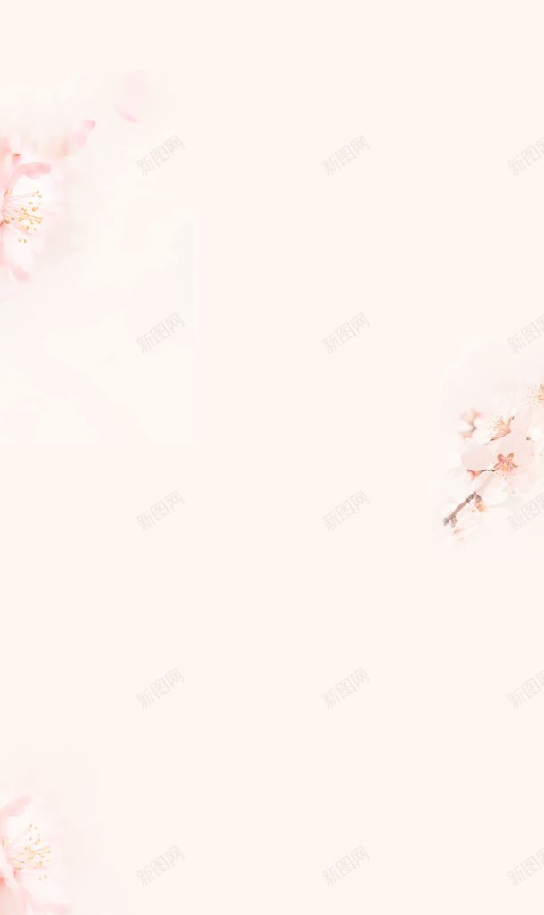 女装粉色电商海报jpg设计背景_88icon https://88icon.com 女装 海报 粉色