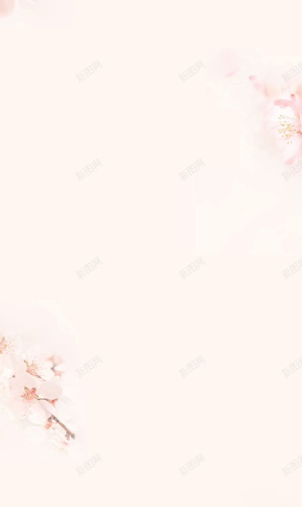 女装粉色电商海报jpg设计背景_88icon https://88icon.com 女装 海报 粉色