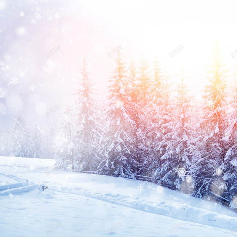 浪漫雪景主图背景psd_88icon https://88icon.com 主图 摄影 浪漫 雪景 风景