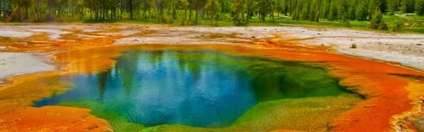 清新自然绿色小草jpg设计背景_88icon https://88icon.com 清新 素材 绿色 自然