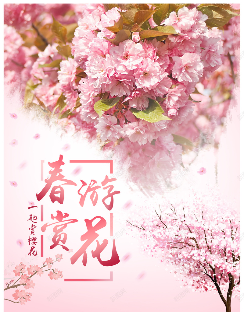 春季赏花背景psd设计背景_88icon https://88icon.com 春天 春季背景素材 春游 樱花 粉色