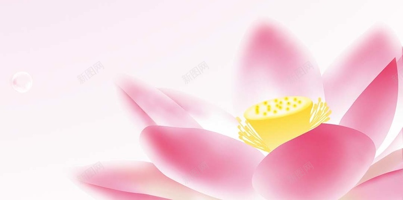 粉色莲花气泡商业PSD分层H5背景psd设计背景_88icon https://88icon.com 上市 化妆品 商业 商业PSD分层H5背景素材 护肤品 新品 气泡 粉色 莲花