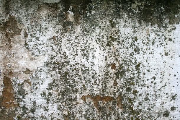 破旧墙壁背景jpg设计背景_88icon https://88icon.com 传统花纹 图片素材 墙壁背景 墙壁裂缝 复古背景 底纹背景 底纹边框 怀旧墙壁背景 破旧墙壁背景图片 破旧墙壁背景图片素材下载 纹理背景 背景图案 背景花边