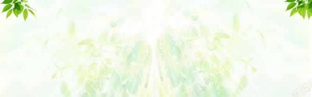 阳光沐浴jpg设计背景_88icon https://88icon.com 沐浴 阳光