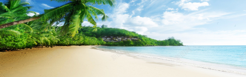 蓝天白云海滩背景psd_88icon https://88icon.com 摄影 椰子树 海报banner 海滩 白云 蓝天 风景