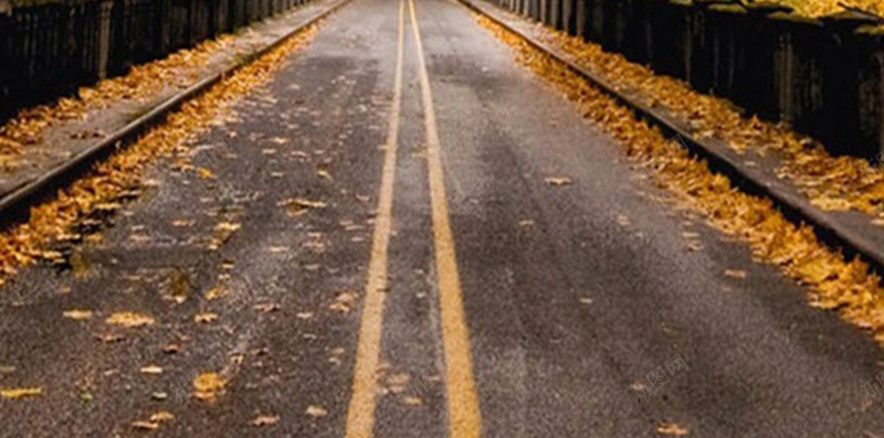 枫叶下面的道路H5背景jpg_88icon https://88icon.com H5素材 唯美 摄影 枫叶 植物 落叶 道路 风景
