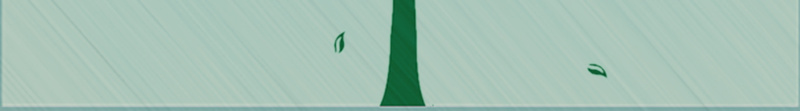 春天春分海报背景psd设计背景_88icon https://88icon.com 初春 小树 小鸟 时节 春 春分时节 清新 简约