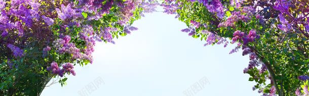 唯美简约大气淘宝海报背景jpg设计背景_88icon https://88icon.com banner 大气 淘宝背景素材 简约 背景 都市