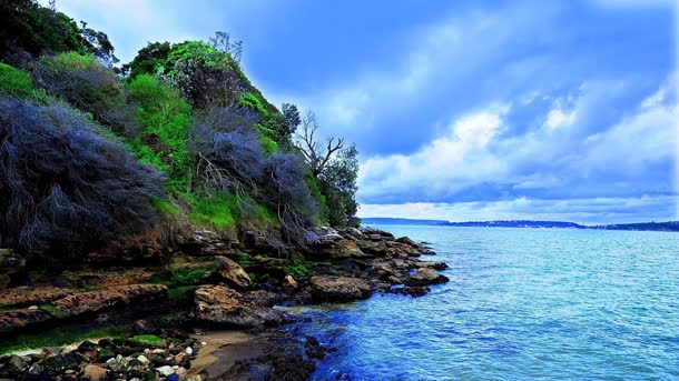 蓝天海水岩石植物jpg设计背景_88icon https://88icon.com 岩石 植物 海水 蓝天