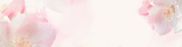 淘宝女装banner创意jpg设计背景_88icon https://88icon.com 朦胧美 玫瑰 鲜花