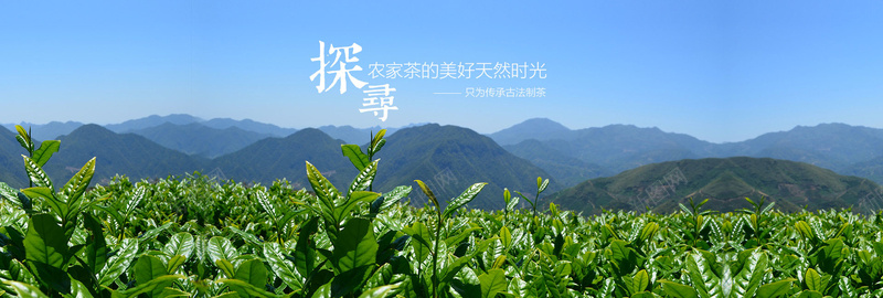 茶叶全屏促销海报背景jpg设计背景_88icon https://88icon.com banner轮播 摄影 横幅背景 海报banner 茶叶专题设计横幅 茶叶全屏banner 茶天猫淘宝banner背景 风景