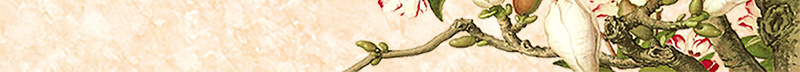 中国风手绘工笔画花鸟海报背景psdpsd设计背景_88icon https://88icon.com psd 中国风 中式背景 工笔画 手绘 海报背景 花卉 花鸟 质感背景