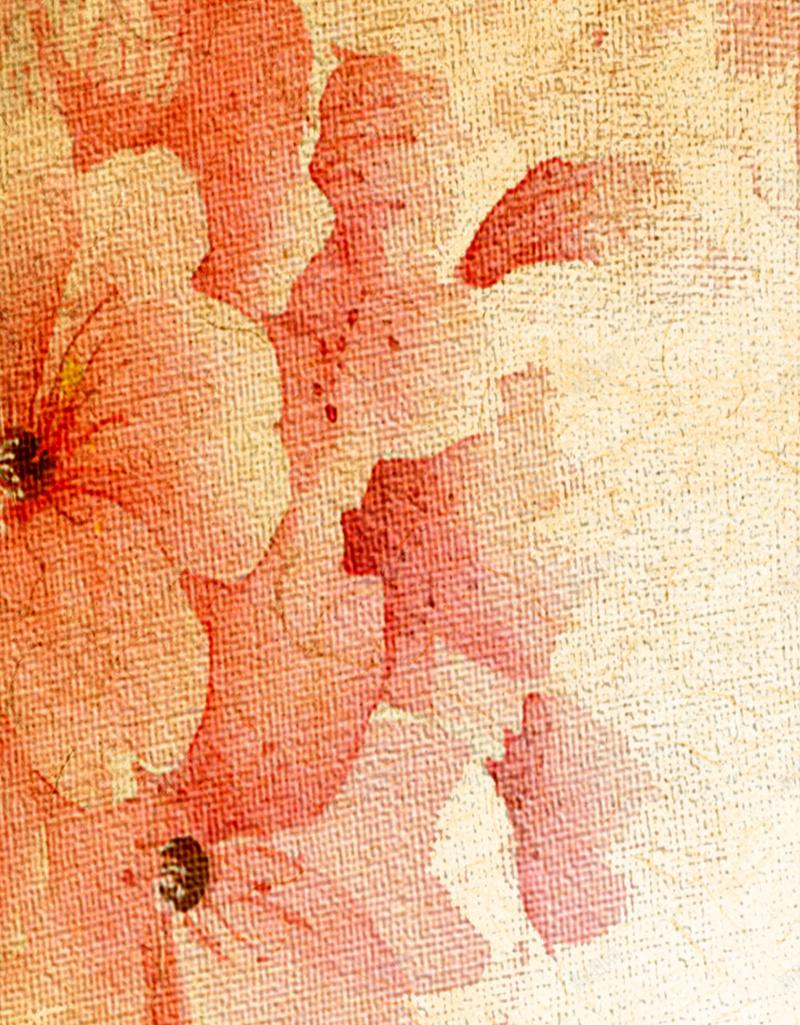 花卉橙色手绘纹理海报背景psd设计背景_88icon https://88icon.com 大气 彩绘 手绘 橙色 海报 清新 简约 纹理 背景 花卉