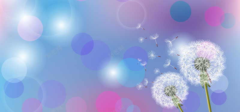 唯美梦幻蒲公英背景jpg设计背景_88icon https://88icon.com 唯美 婚庆 家居 梦幻 浪漫 美容化妆 舞动 蒲公英背景 透明度降低 青春