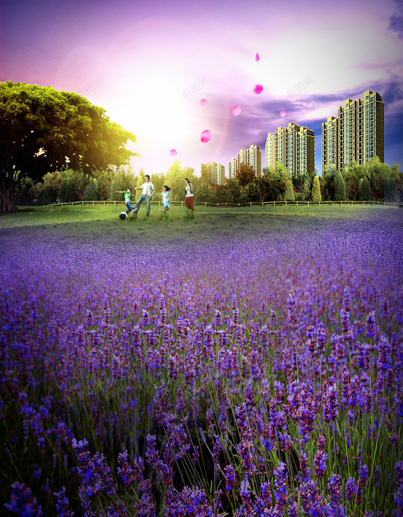 家门口的薰衣草花园h5背景psd_88icon https://88icon.com H5 h5 h5背景 一家人 公园 天空 家门口 建筑 摄影 紫色花海 花园 薰衣草 风景