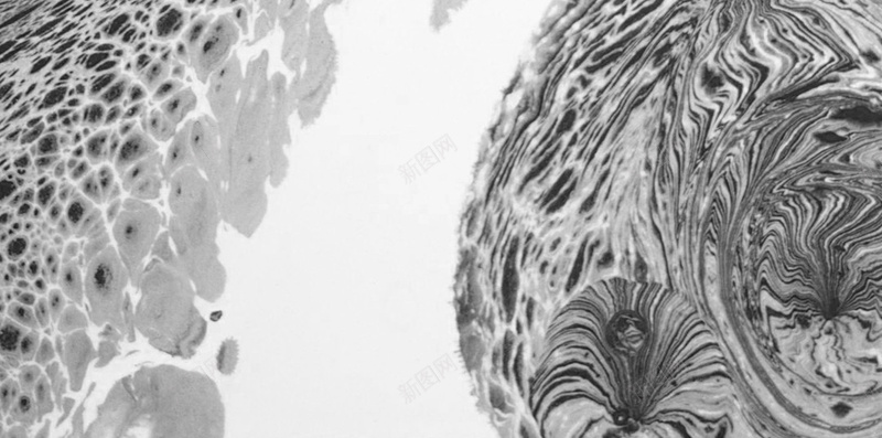 肌理纹理H5背景jpg设计背景_88icon https://88icon.com H5背景 纹理 肌理背景 背景纹理 质感 黑白