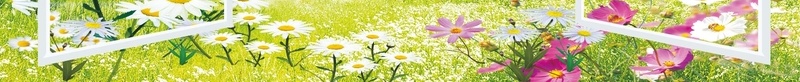 心理咨询室制度展板背景psd设计背景_88icon https://88icon.com 卡通树 卡通花 幼儿园 心理健康课 心理咨询室 心理咨询室制度 心理咨询室制度模板下载 心理课 蓝天白