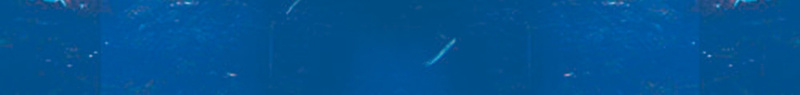 蓝色海底奇幻海报psd设计背景_88icon https://88icon.com 奇幻 摄影 水 海底 蓝色 风景 鱼