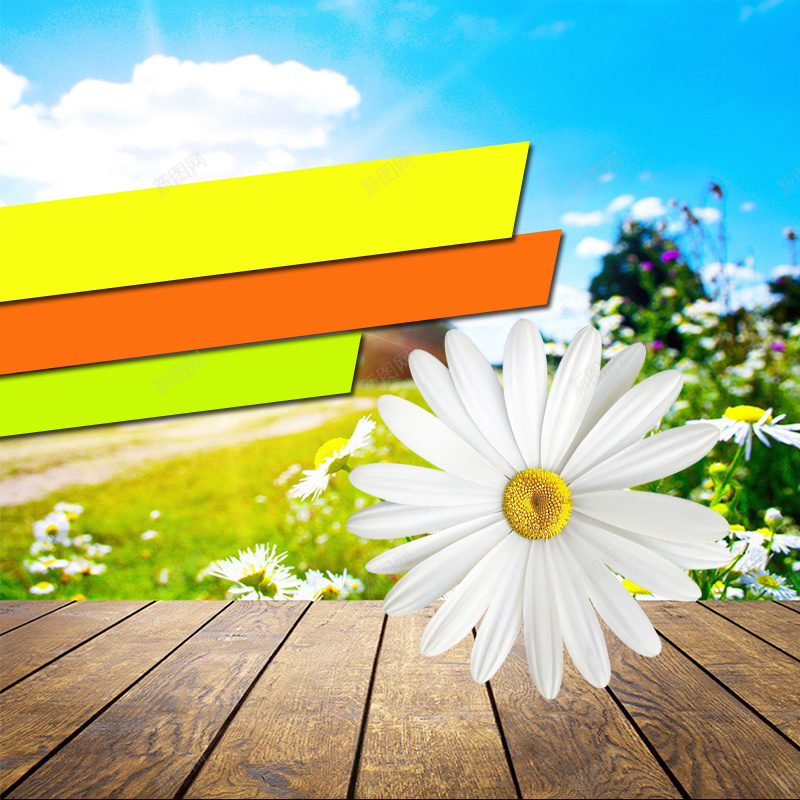 菊花清新背景psd设计背景_88icon https://88icon.com 主图 文艺 木板 清新 纹理 菊花 质感