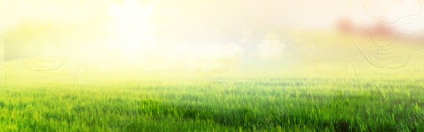 草坪背景jpg设计背景_88icon https://88icon.com 户外 清新 绿色 草地