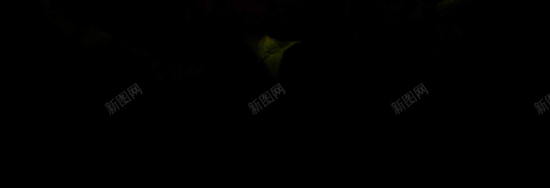 梦幻花卉化妆品海报背景psd设计背景_88icon https://88icon.com 化妆品 梦幻 浪漫 海报 美容 花卉 黑色