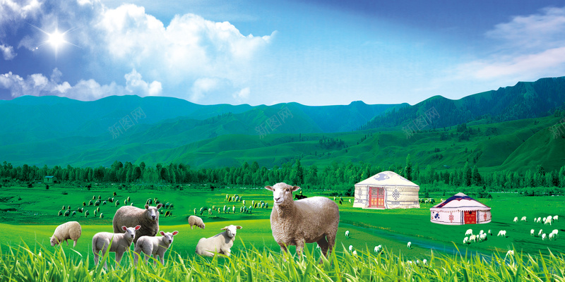 小清新绿色草原海报背景jpg设计背景_88icon https://88icon.com 到底 小清新 海报 牛羊 素材 绿色 背景 草原 蓝天 青山