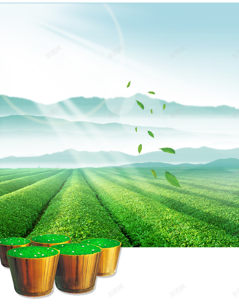 茶叶海报背景psd设计背景_88icon https://88icon.com 光线开心 山峰 快乐 摄影 木桶 绿色 茶叶 风景