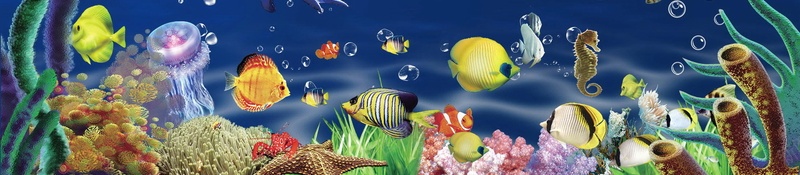 时尚梦幻海底世界水族馆背景psd设计背景_88icon https://88icon.com PSD源文件 PSD素材 分层文件 旅游 梦幻水族馆 水族馆 海底世界 海洋世界 海洋动物 珊瑚 背景模板 背景海报 背景素材 高清背景
