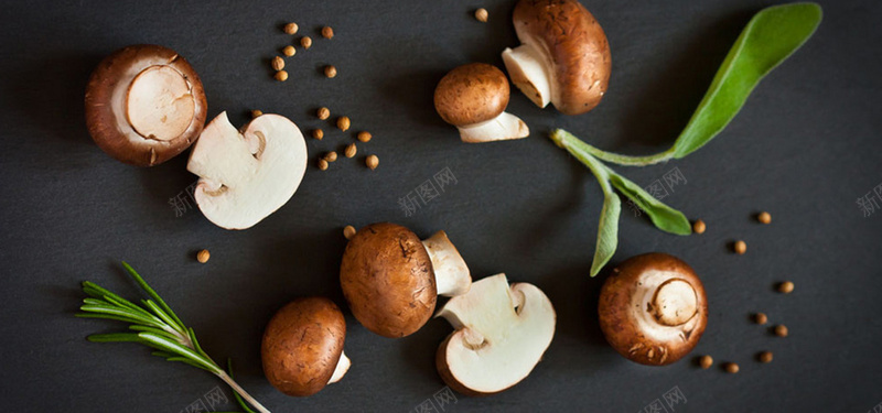 香菇背景图jpg_88icon https://88icon.com 摄影 植物 海报banner 风景 食材 香菇