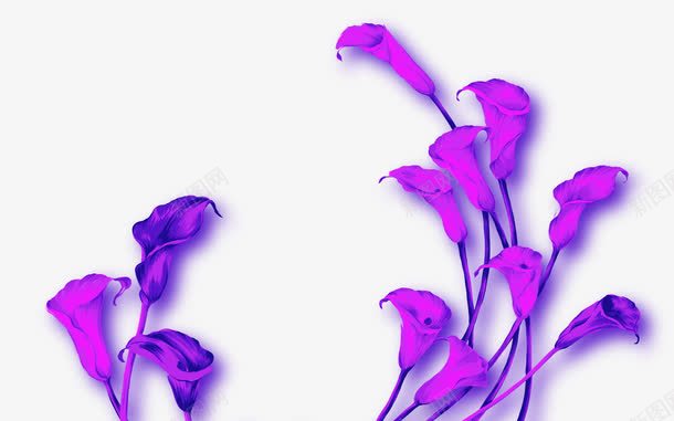 紫金花背景png免抠素材_88icon https://88icon.com 彩绘花 紫罗兰 紫色的花 紫金花背景