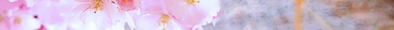 日本樱花节旅游宣传海报背景模板psd高清背景_88icon https://88icon.com 宣传 旅游 日本 春天 春游 樱花节 海报 背景素材 踏青