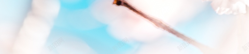 朦胧粉色桃花jpg设计背景_88icon https://88icon.com 春色 朦胧 桃花 粉色