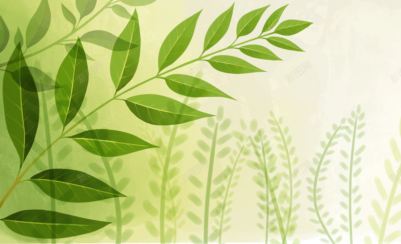 春天绿色草叶的背景图psd设计背景_88icon https://88icon.com 半透明 树叶 淡雅 清新 渐变色 绿色 草叶 黄绿色
