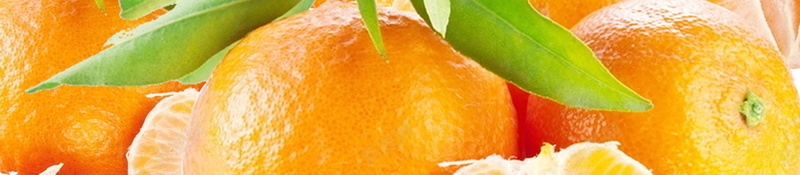 小清新新鲜蜜桔水果PSD分层psd设计背景_88icon https://88icon.com PSD源文件 PSD素材 分层文件 新鲜水果 柑橘 桔子 橘子 橙子 水果 水果促销 水果广告 水果店 水果超市 背景模板 背景海报 背景素材 脐橙 芦柑 蜜桔 高清背景