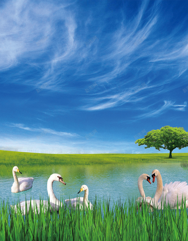 河边玩耍的大白鹅背景psd设计背景_88icon https://88icon.com 大白鹅 欢喜 河边 海报 白云 绿草 背景 蓝天 风景