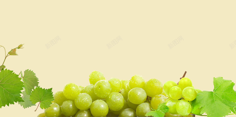 简约绿叶白葡萄H5背景psd设计背景_88icon https://88icon.com H5背景 水果 清新 白葡萄 白葡萄酒 简约 绿叶 黄色
