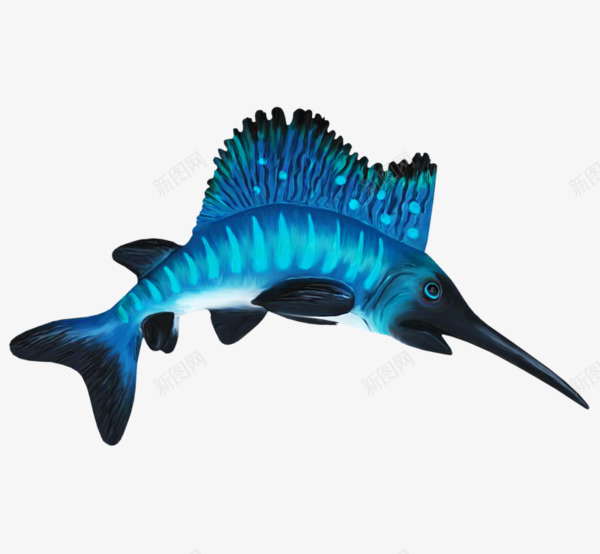 手绘蓝色剑鱼png免抠素材_88icon https://88icon.com 剑鱼 手绘 海洋生物 蓝色