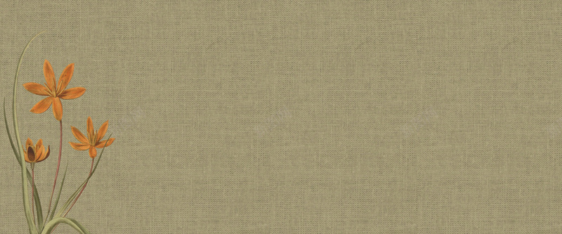 简约个性纹理质感图jpg设计背景_88icon https://88icon.com 个性 复古 海报banner 清新 简洁 简约 纹理 花纹 质感