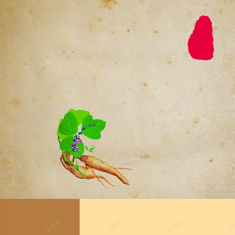 人参质感背景psd设计背景_88icon https://88icon.com 主图 人参 保健 养生 清新 纹理 质感 食品