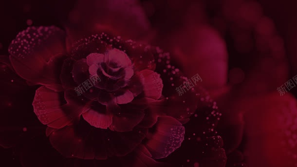 红色花瓣折扣店壁纸jpg设计背景_88icon https://88icon.com 壁纸 折扣 红色 花瓣