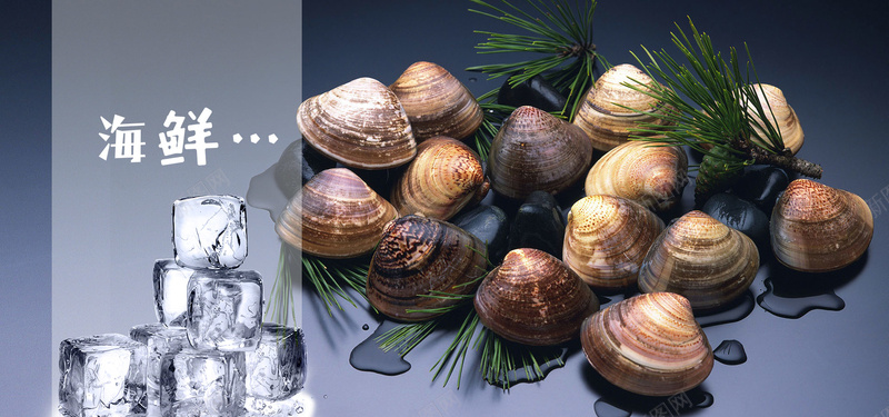海鲜食品背景psd设计背景_88icon https://88icon.com 冰块 海报banner 海鲜 美食 背景 贝类 食品
