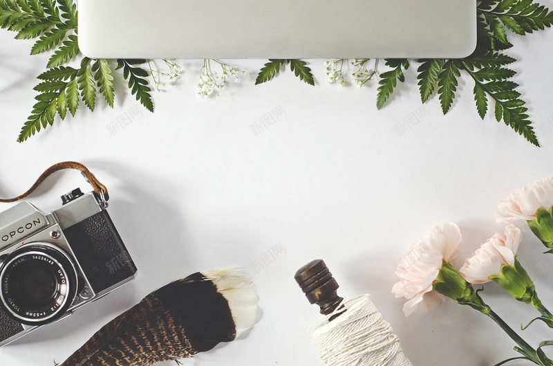 清新花朵花卉摆件摄影jpg_88icon https://88icon.com 康乃馨 摄影海报 清新 清新花朵 物件 相机 粉色花朵 花卉 花朵