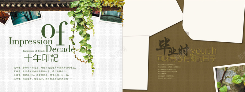 毕业照片墙背景海报bannerjpg_88icon https://88icon.com 友谊 同学录 小清新 怀旧 树叶 毕业季 海报背景 照片墙 照片背景素材 纪念册 青春