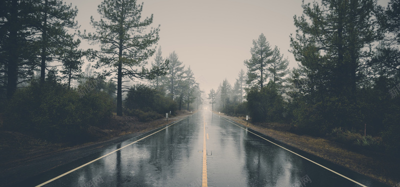 雨后柏油马路景色背景jpg设计背景_88icon https://88icon.com 开心 景色 柏油马路 树木 森林 浪漫 清新 绿色 背景 雨后