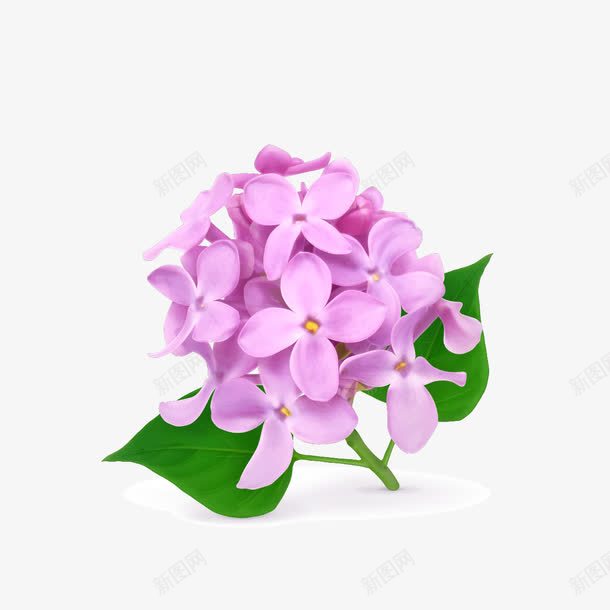 紫色的绣花球png免抠素材_88icon https://88icon.com 球 紫色 绣花图片 绣花球 花 花球