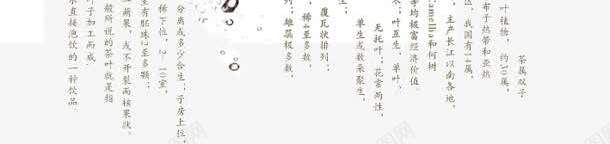 养生茶png免抠素材_88icon https://88icon.com 三宝茶 广告海报 茶海报 茶道